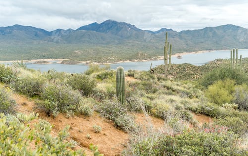 Preview: A lake in the green Sonoran desert in the spring