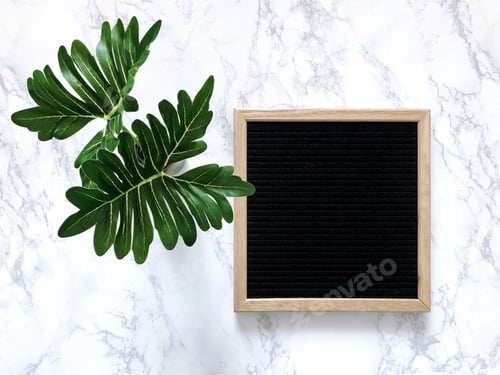 Preview: Clean minimal style