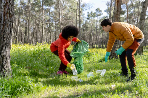 Preview: multiracial volunteers collecting plastic bottles in rubbish bags at the bottom of the forest.