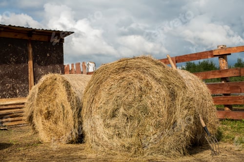 Preview: Two huge rolled stacks of fresh hay and hayfork by barn and wooden fence
