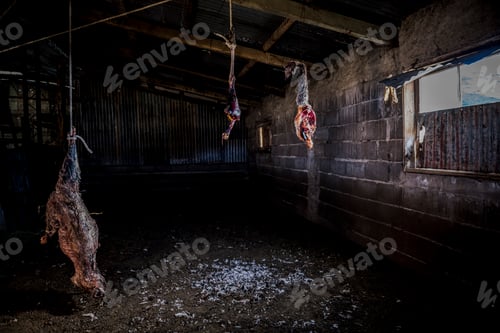 Preview: Meat drying on the farm at Estancia La Oriental, Perito Moreno National Park, Santa Cruz Province, P