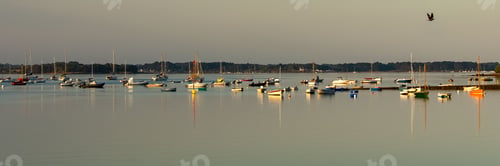 Preview: Arz island in the Morbihan gulf