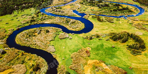 Preview: Aerial View Green Forest Woods And River Landscape In Sunny Spring Summer Day. Top View Of Beautiful