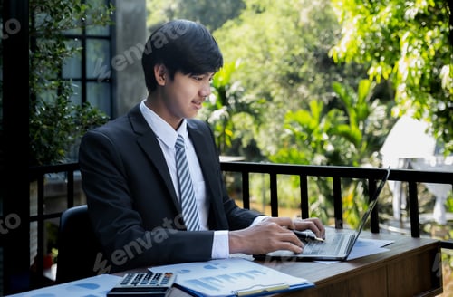 Preview: Businessmen bookkeepers holding pen use calculator and laptop analysis business graph
