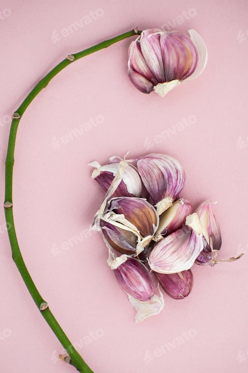 Preview: The composition of the cloves of garlic and a young branch of or