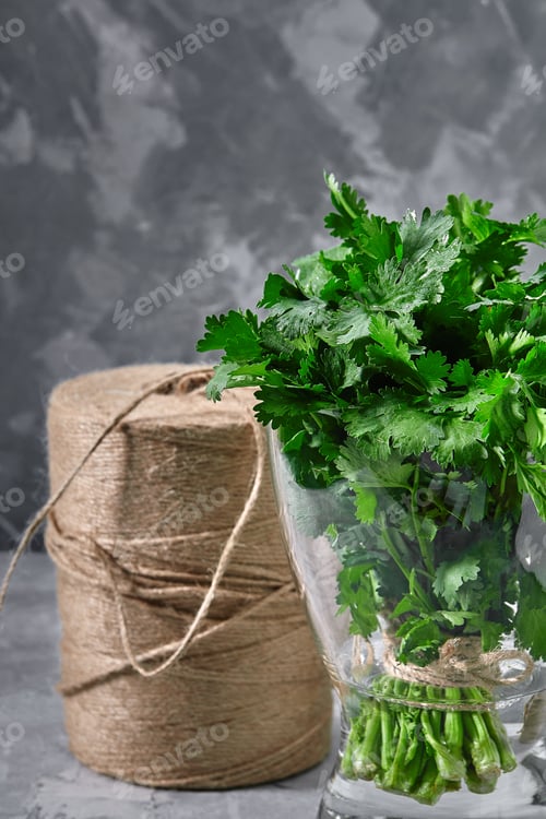 Preview: Fresh parsley bunch in water, gray background, Gray background, Organic products, layout for healthy