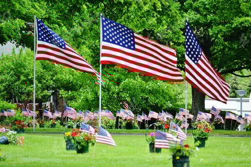 Preview: American Flags with Flowers Displayed on Lawn