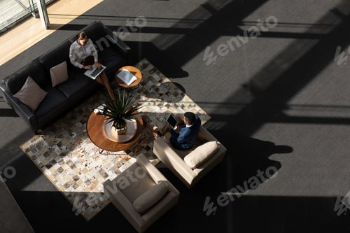 Preview: High angle view of young multi-ethnic business executive working on the sofa in modern office