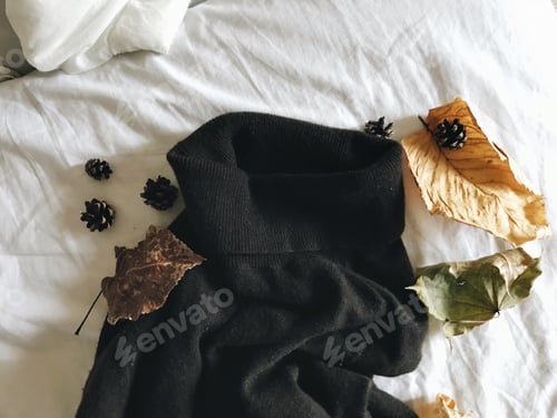 Preview: fall season / black sweater / fallen leaves / autumn style