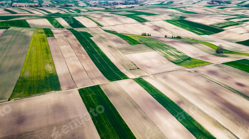 Preview: Cultivated Fields in Farmland at Countryside at Spring. Aerial Drone View