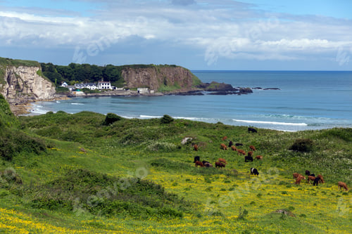 Preview: White Park Bay - County Antrim - Northern Ireland.