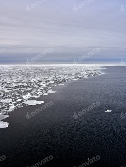 Preview: ice on the water with snow floes and icebergs around it