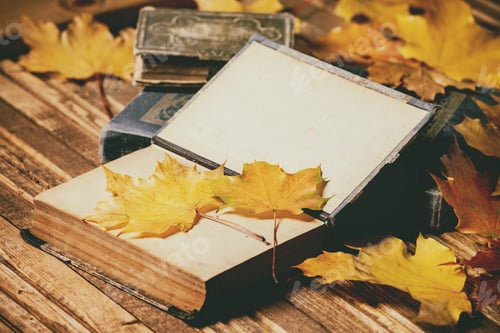 Preview: Books and autumn leaves