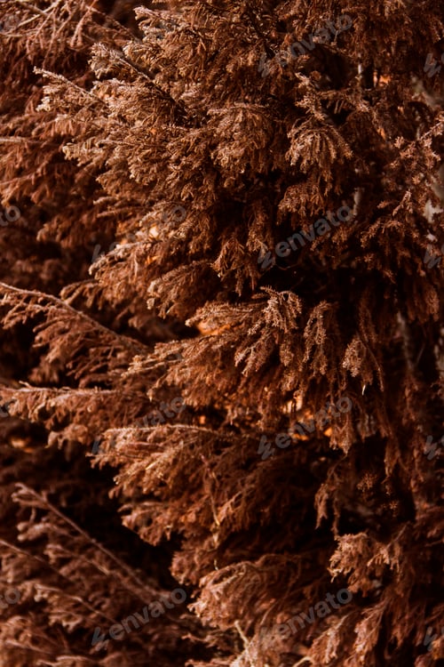 Preview: Autumn organic and abstract s