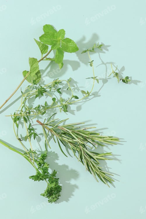 Preview: Parsley, Mint, Rosemary and Thyme on Mint Background