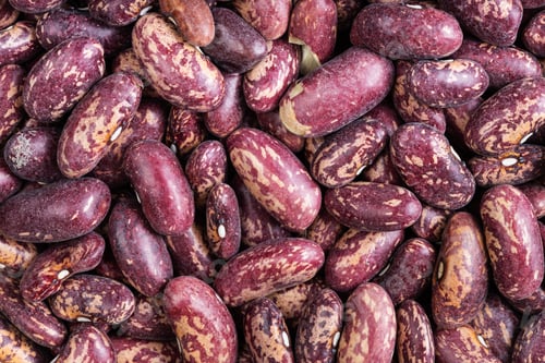 Preview: background - raw red spotted pinto beans