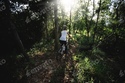 Preview: Mountain biking in summer forest