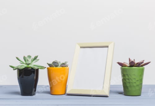 Preview: Succulent plants and empty picture frame arranged on wooden table with neutral background
