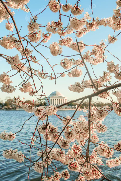 Preview: nature