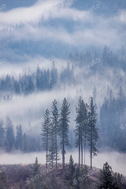 Preview: Clouds in the mountains in north Idaho.