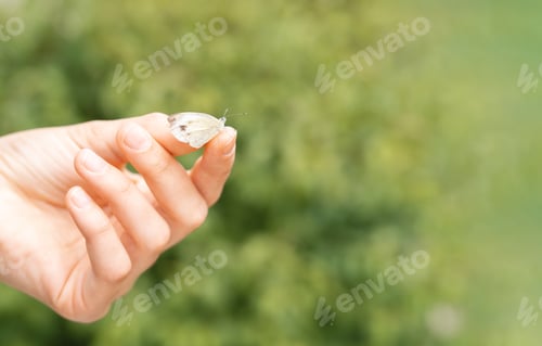 Preview: White butterfly on child hand at blurred green natural background