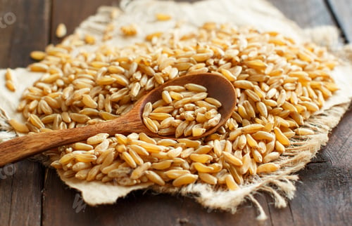 Preview: Pile of Kamut grain with a spoon on wooden background close up