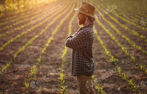 Preview: Adult male farmer standing on field with green sprouts