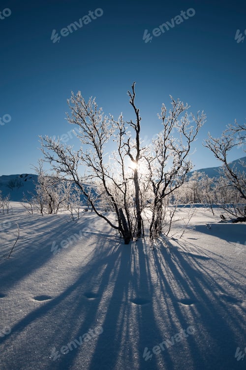 Preview: A frozen landscape near Kiruna, Sweden