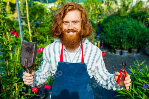 Preview: young redhaired ginger bearded man in apron working in the garden or plantation