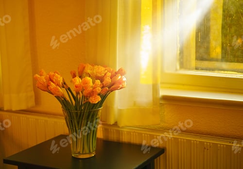 Preview: Sun-drenched tulips