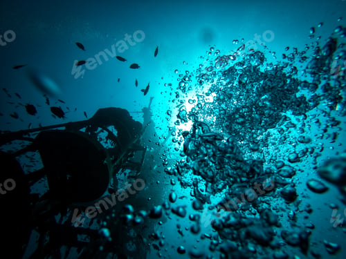 Preview: Wreck diving art