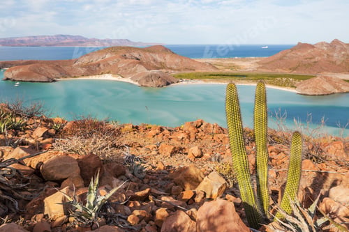 Preview: Baja