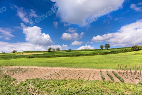 Preview: Beautiful spring landscape and cloudy sky.