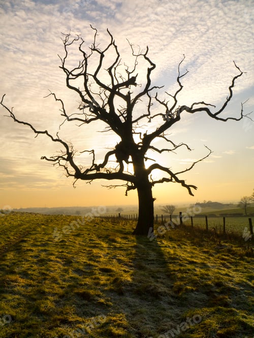 Preview: North Yorkshire - England