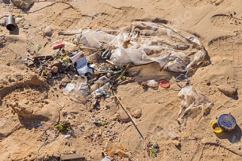 Preview: Garbage by wave at beach, cigarette butt, plastic packaging and bottle cork at sandy shore