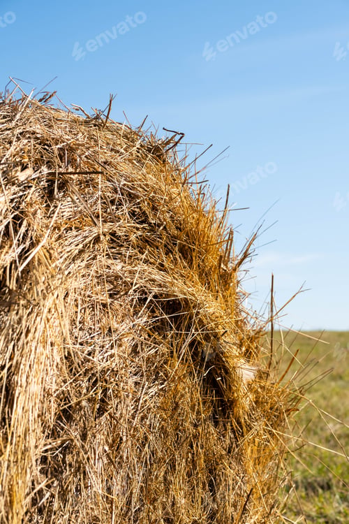 Preview: Straw Bale Against Blue Sky, Close Up. Agriculture or Harvesting Concept.
