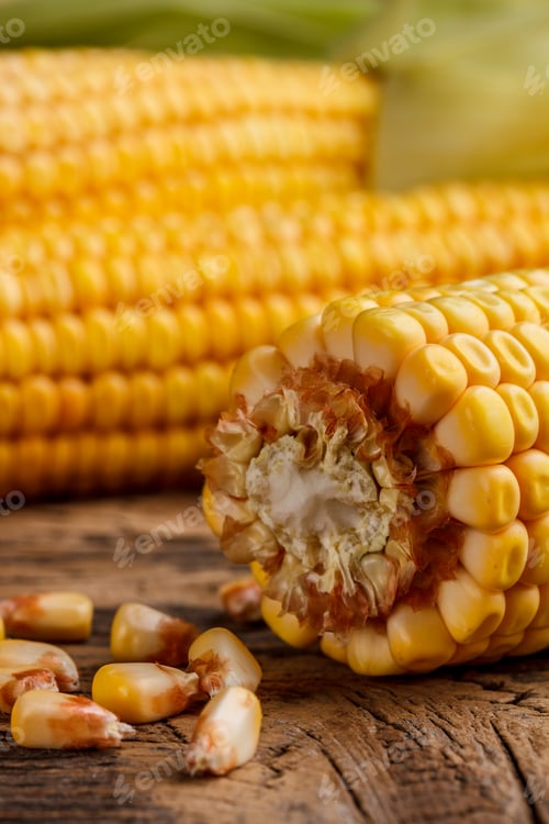 Preview: Corn cobs