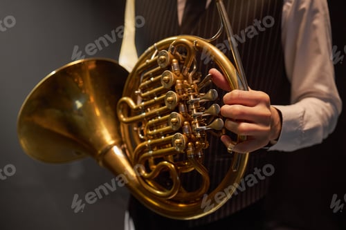 Preview: Musician Pushing Valve Levers of Golden French Horn Playing Music on Stage