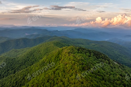 Preview: Morning forest in North Carolina Appalachian mountains, USA.
