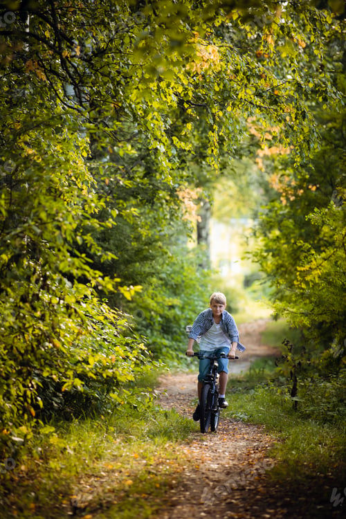Preview: A young boy riding his bike in a summer forest