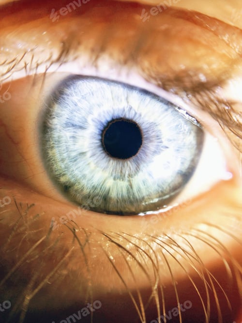 Preview: Close up of blue eye