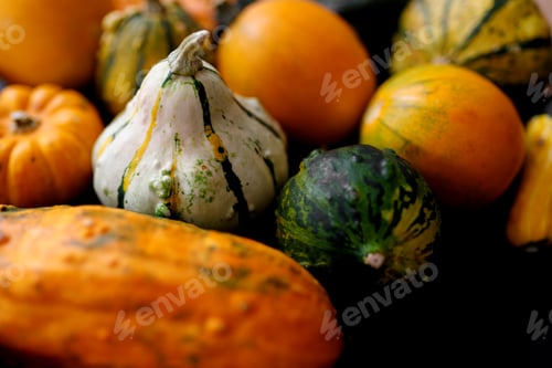 Preview: Autumn Pumpkin Thanksgiving Background - orange pumpkins over black table