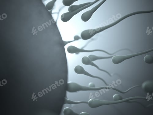 Preview: Fertilization Concept: Sperm Approaching an Egg