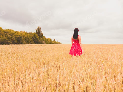 Preview: Beautiful girl in wheat 🌾 field.