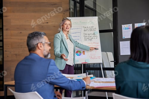 Preview: Businesswoman explaining during business meeting