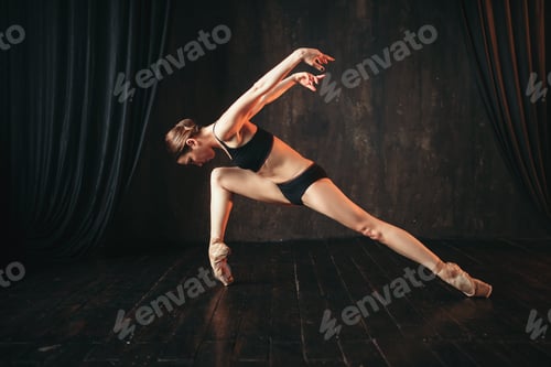 Preview: Classical ballet dancer in black practice training