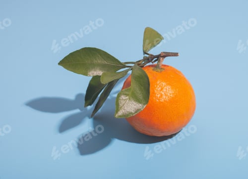 Preview: citrus orange ripe tangerine isolated on studio background