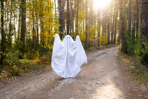 Preview: child in sheets with cutout for eyes like a ghost costume in an autumn forest