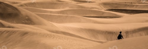 Preview: Lost among the sand dunes