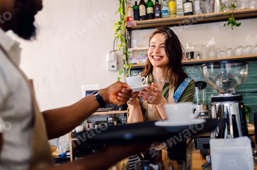 Preview: Female barista working in a coffee shop at the counter and gives a coffee to a male waiter.